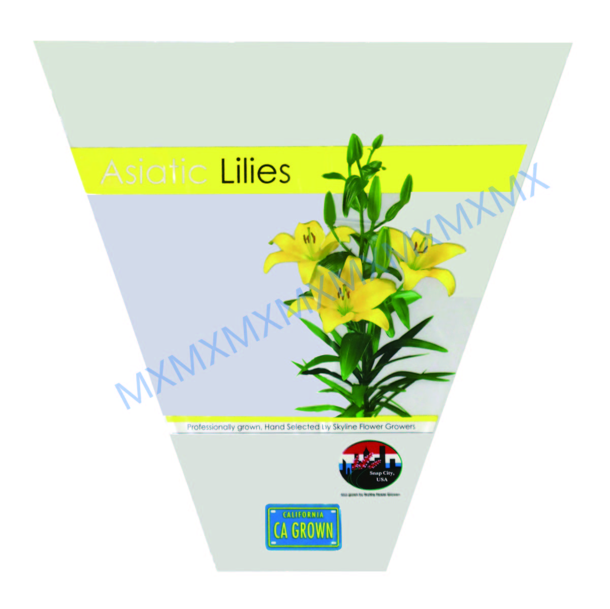 鲜花包装袋的分类